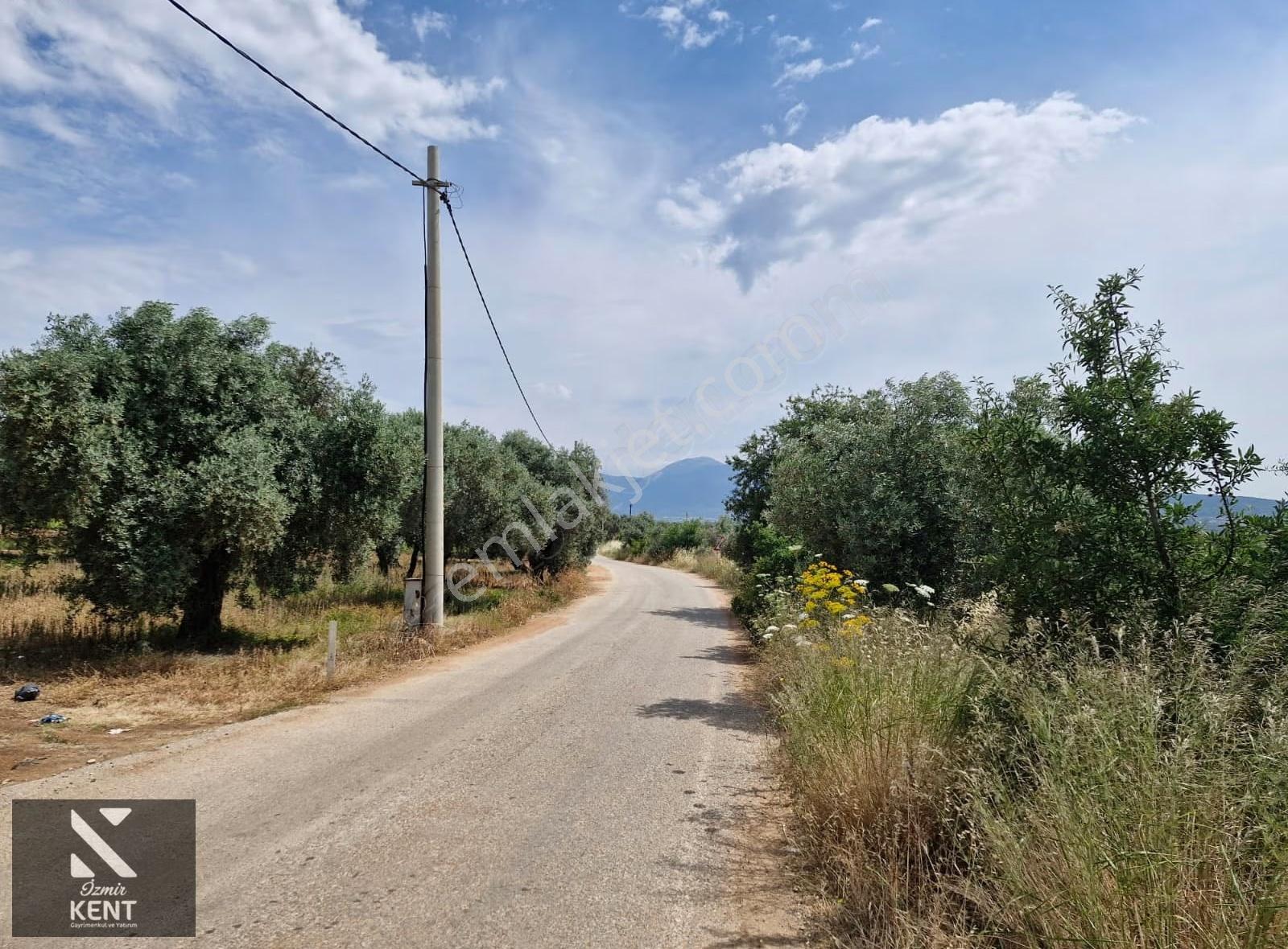 Buca Karacaağaç Satılık 3600 M2 Merkezde Tarla - Görsel 13