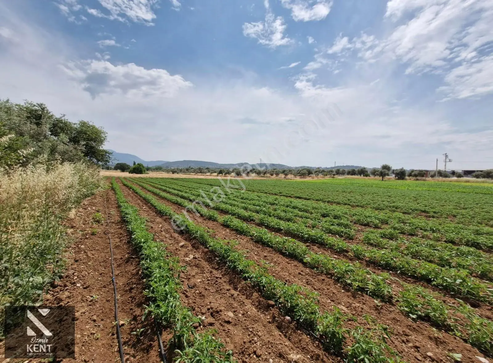 Buca Karacaağaç Satılık 3600 M2 Merkezde Tarla - Görsel 4