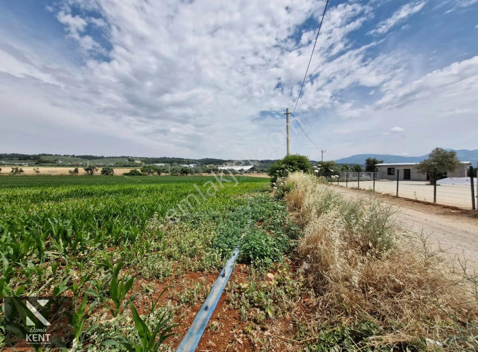 Buca Karacaağaç Satılık 2090 M2 Merkezde Tarla - Görsel 14