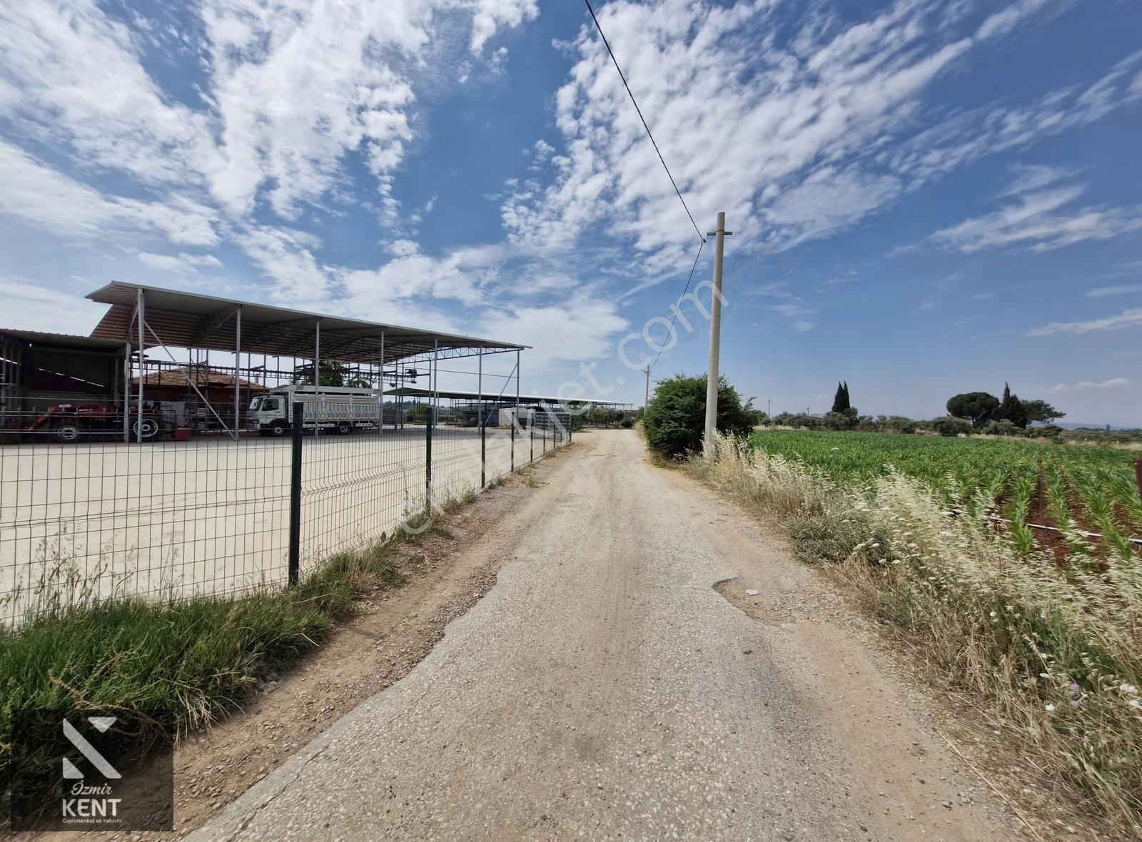 Buca Karacaağaç Satılık 2090 M2 Merkezde Tarla - Görsel 24
