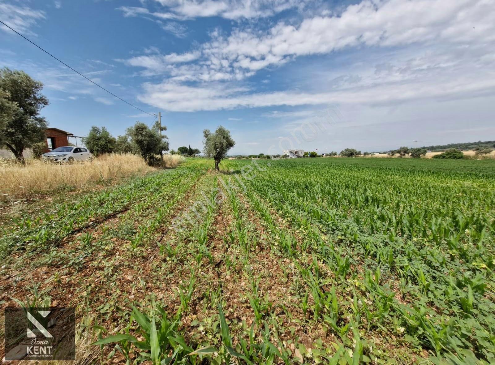 Buca Karacaağaç Satılık 2090 M2 Merkezde Tarla - Görsel 7