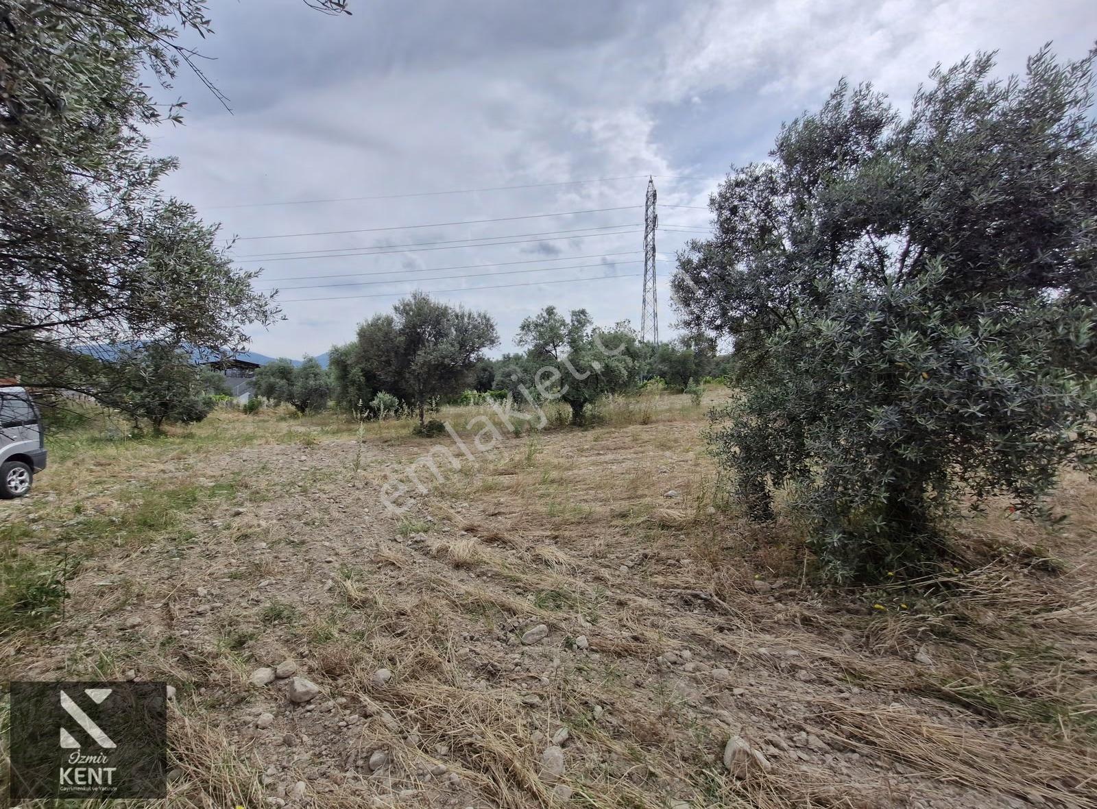 Buca Karacaağaç Satılık 1090 M2 Merkezde Tapulu Bahçe - Görsel 5