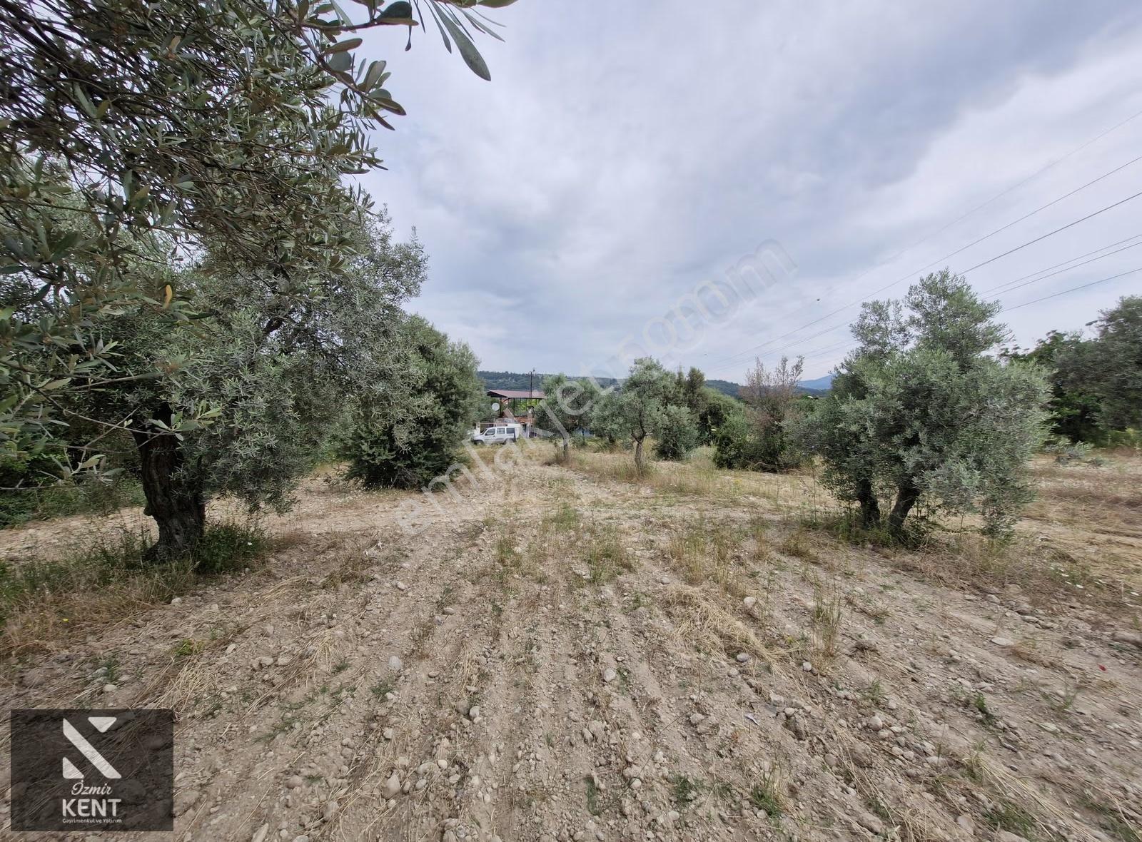 Buca Karacaağaç Satılık 1090 M2 Merkezde Tapulu Bahçe - Görsel 20