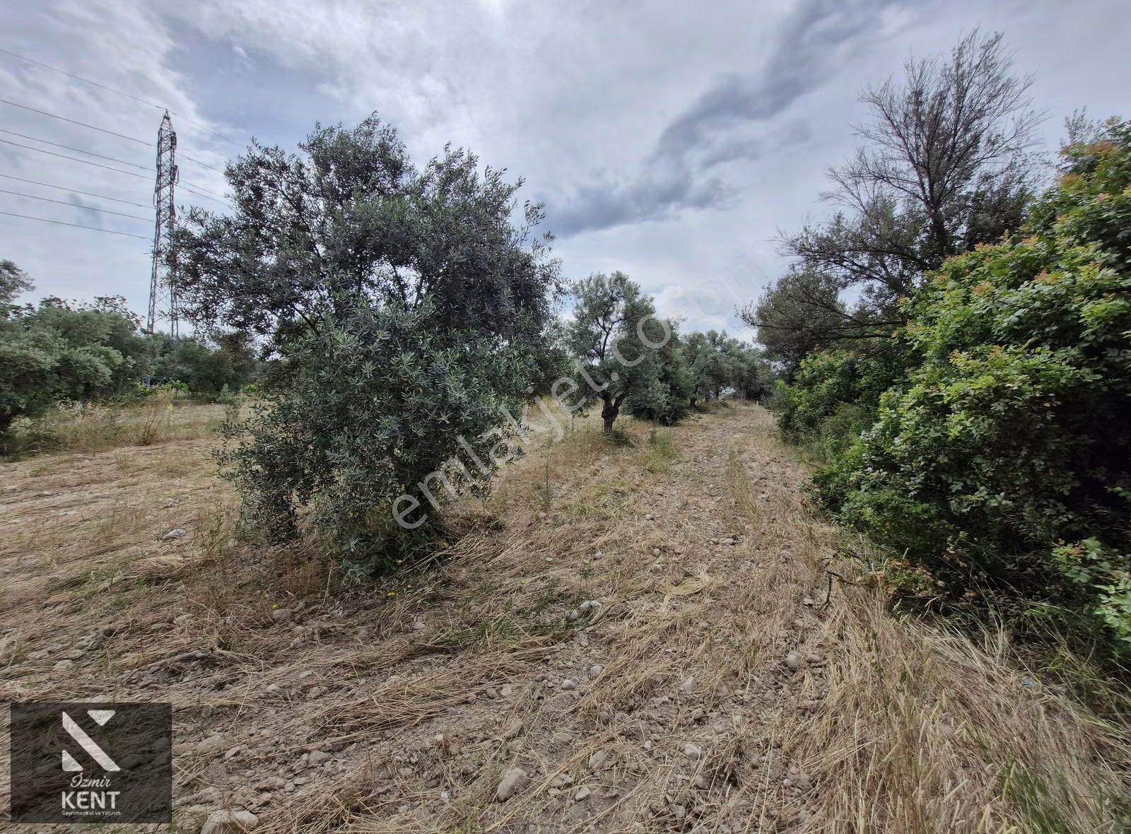 Buca Karacaağaç Satılık 1090 M2 Merkezde Tapulu Bahçe - Görsel 8