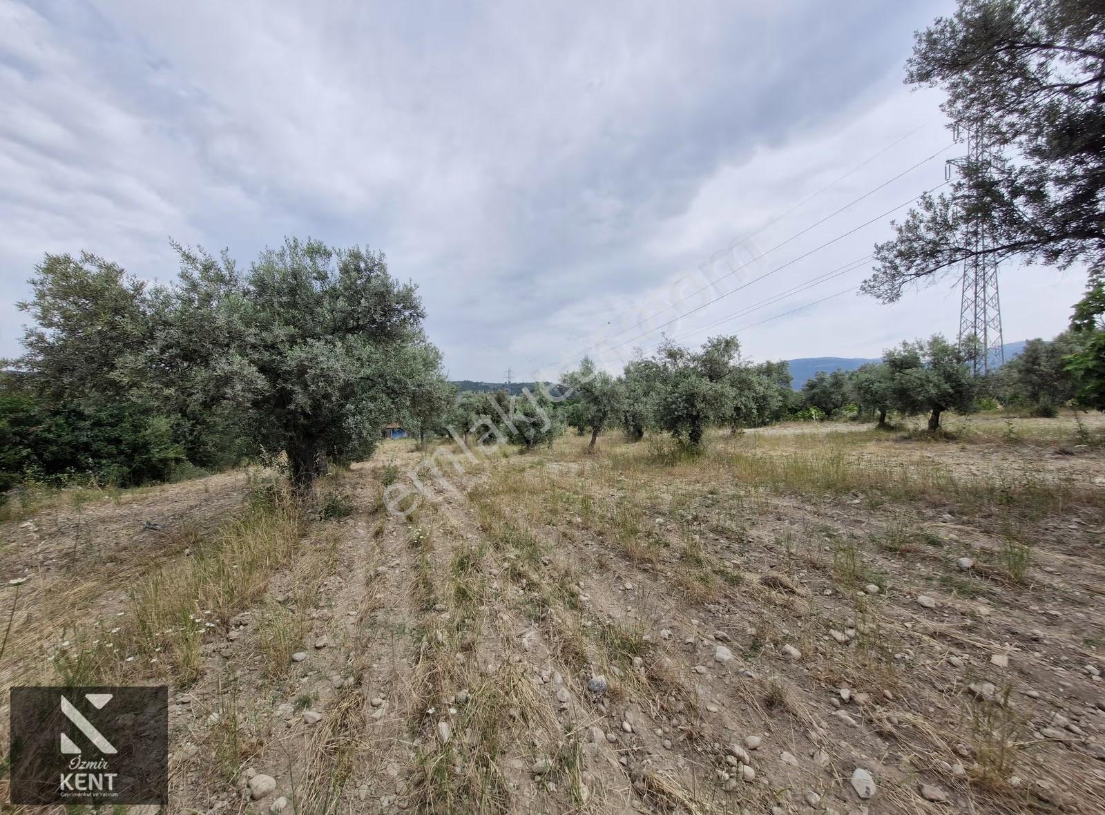 Buca Karacaağaç Satılık 1090 M2 Merkezde Tapulu Bahçe - Görsel 24