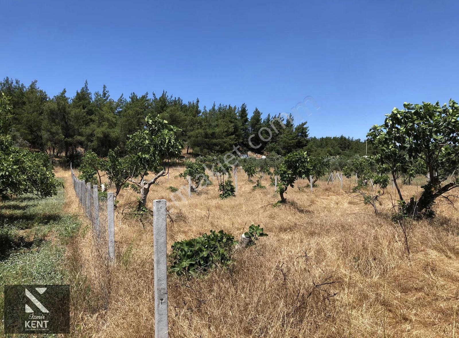 Torbalı Çamlıca´da Ana Yol Üstü 568 M2 (4) Dört Ayrı Parsel - Görsel 6