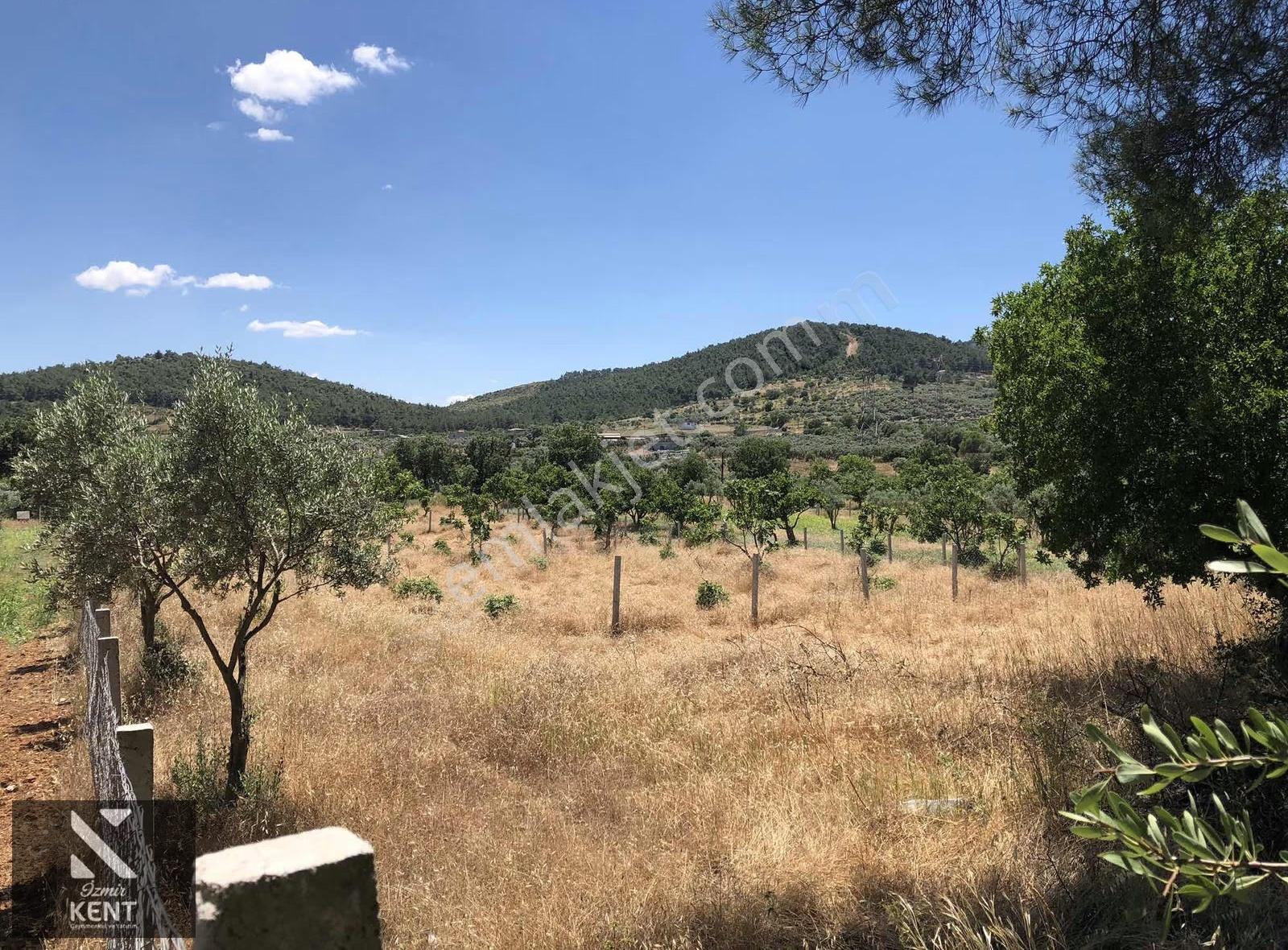Torbalı Çamlıca´da Ana Yol Üstü 568 M2 (4) Dört Ayrı Parsel - Görsel 17