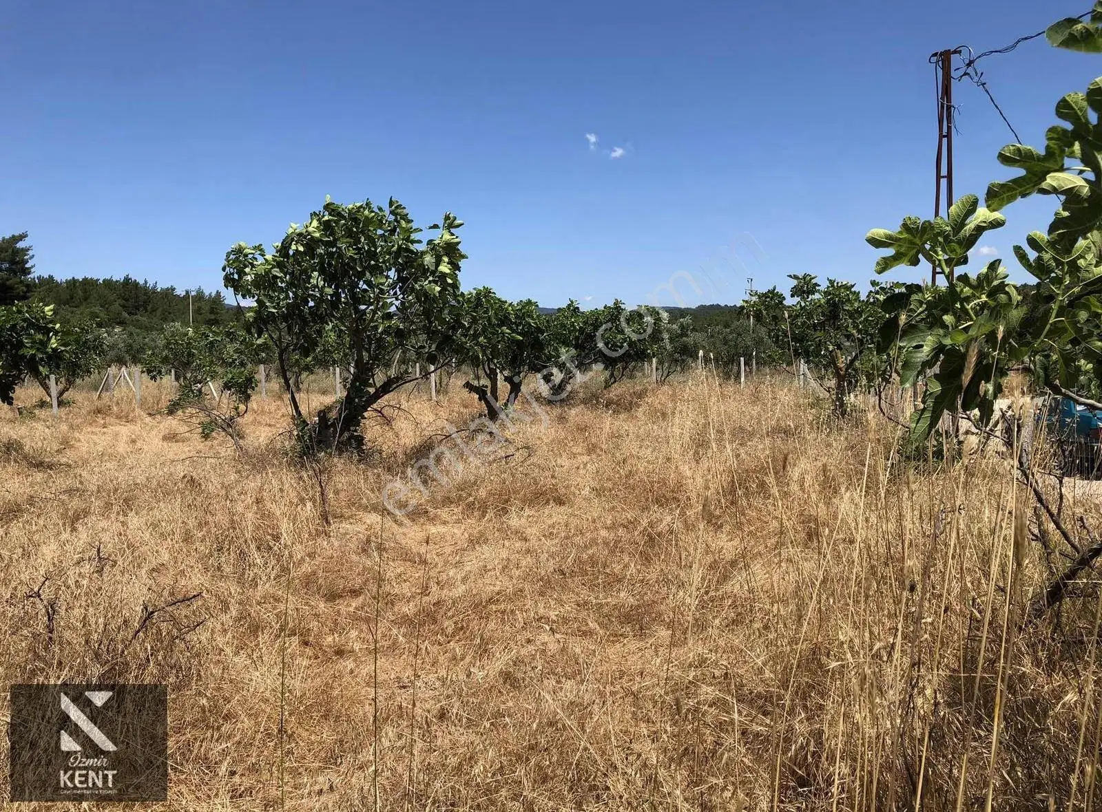 Torbalı Çamlıca´da Ana Yol Üstü 568 M2 (4) Dört Ayrı Parsel - Görsel 5