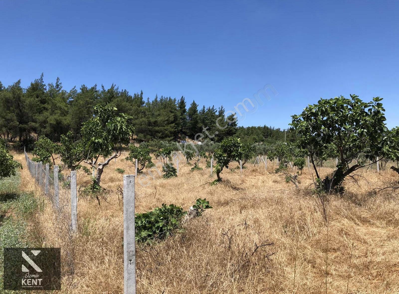 Torbalı Çamlıca´da Ana Yol Üstü 568 M2 (4) Dört Ayrı Parsel - Görsel 24