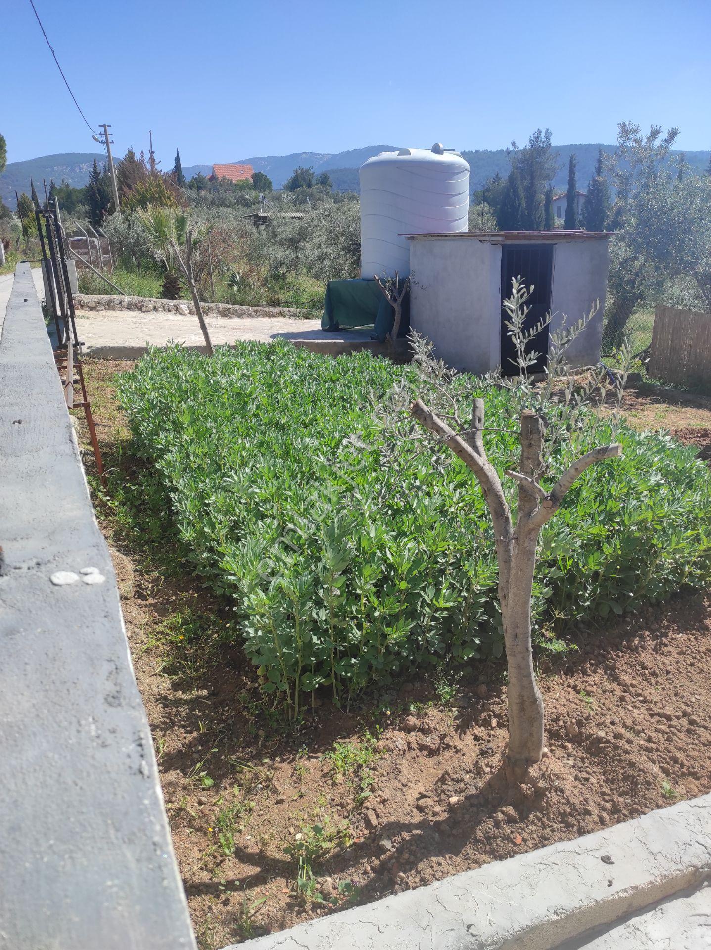 Kaynaklar'da Sahibinden Satılık 307 M2 Tek Tapulu Yaşam Alanı - Görsel 10
