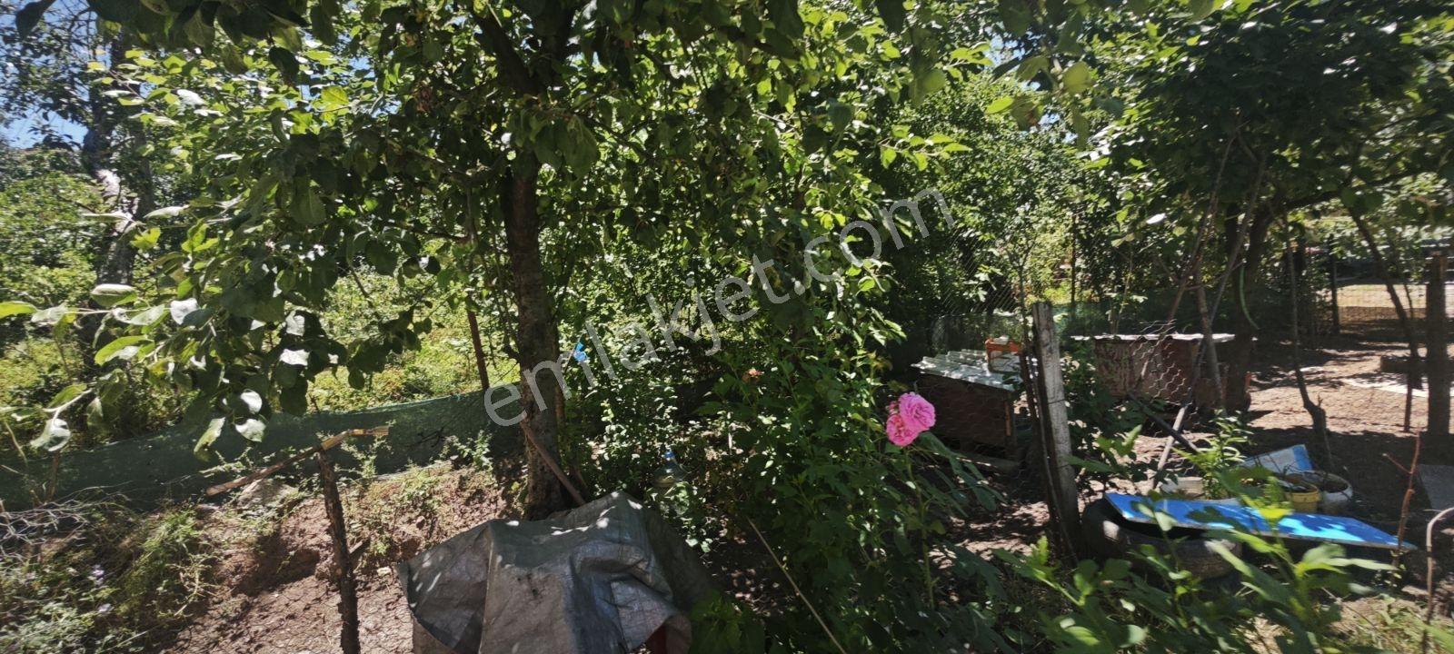 450 Metrekare Arsa İçinde İki Katlı İki Daireden Oluşan Müstakil - Görsel 10