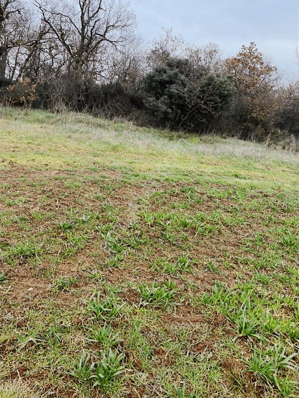 İstanbul Silivri Değirmenköy Sahibinden Satılık Arsa - Görsel 9