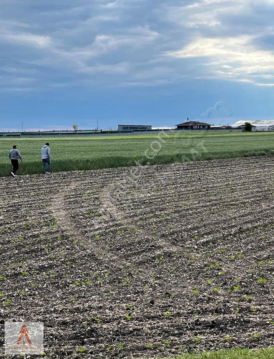 Tekirdağ Sarayda Yeri Belli İmar Sınırında Acil Satılık Arsa - Görsel 6