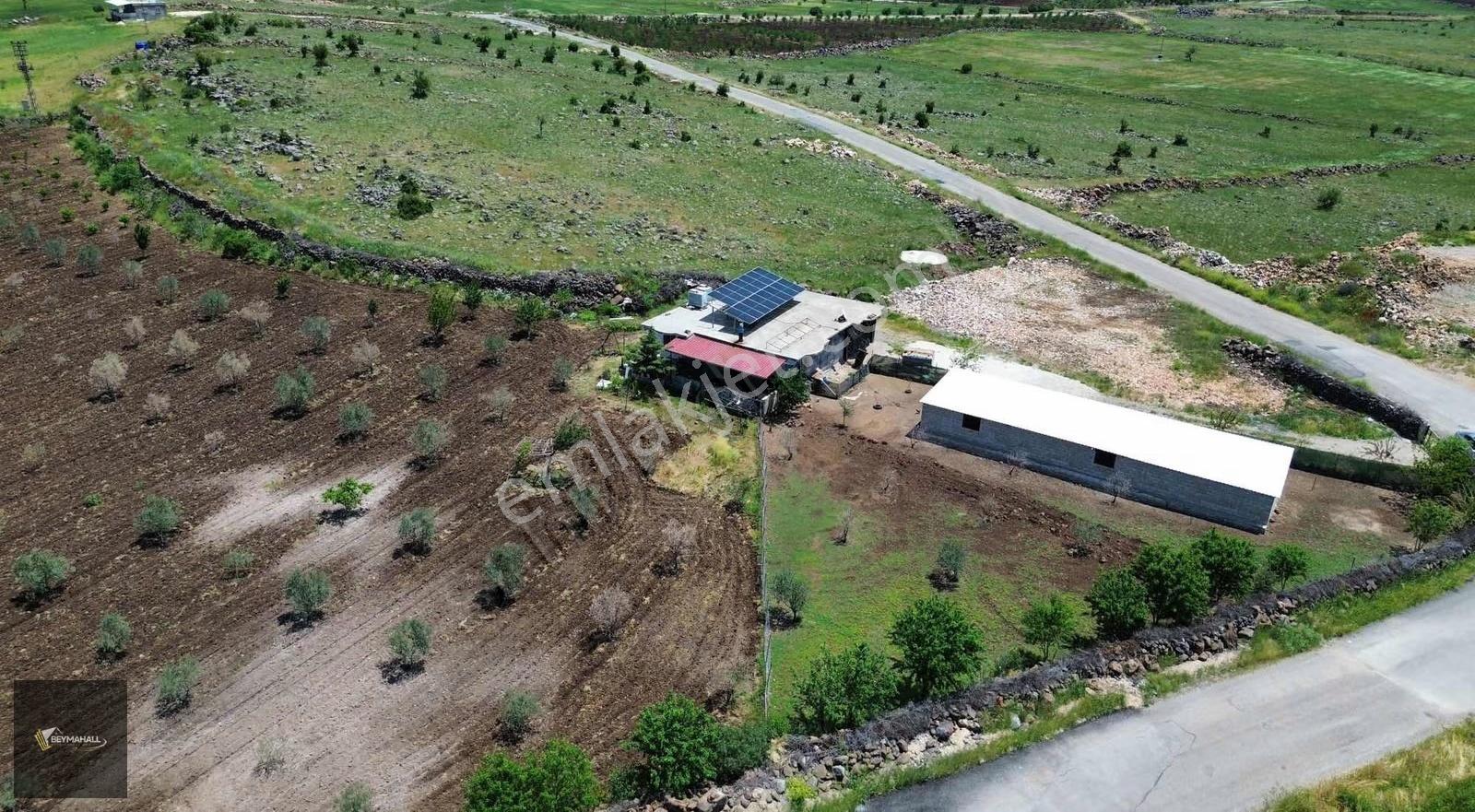 Beymahall Karakesek Asfalt Üzeri Satılık Çiftlik Yeri - Görsel 11