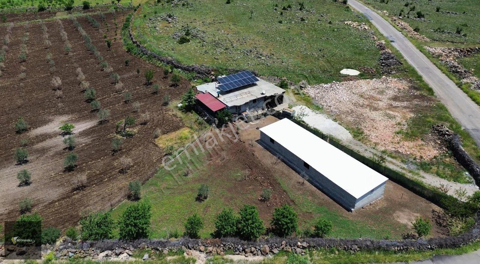 Beymahall Karakesek Asfalt Üzeri Satılık Çiftlik Yeri - Görsel 6