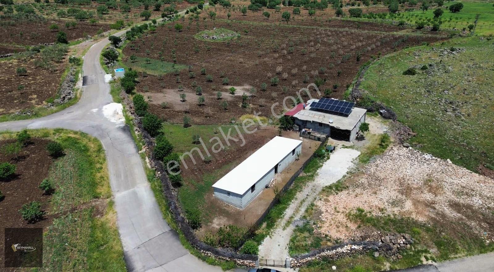Beymahall Karakesek Asfalt Üzeri Satılık Çiftlik Yeri