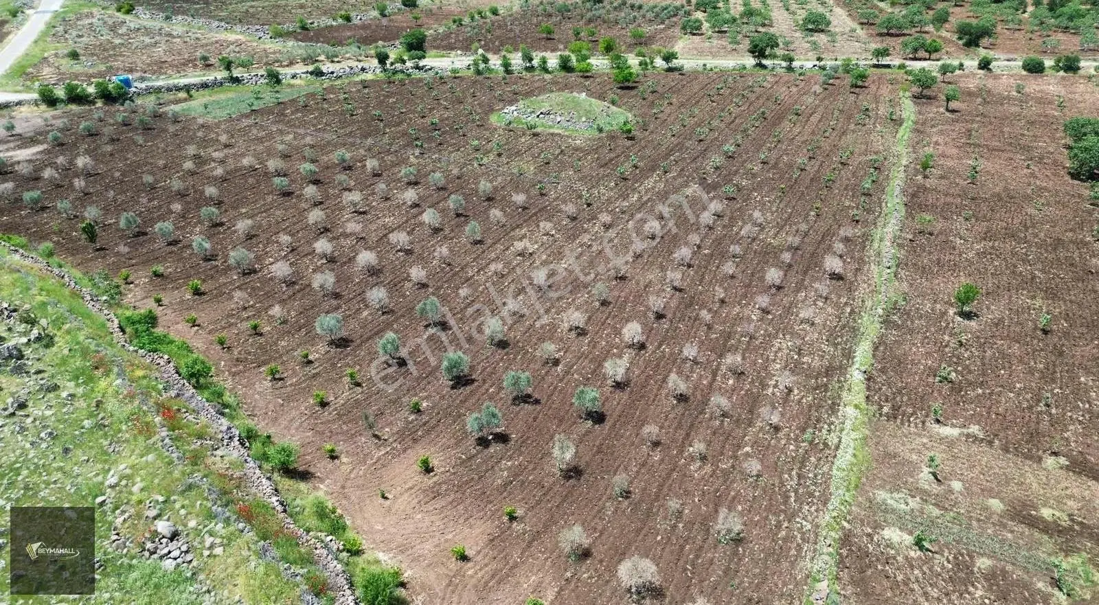 Beymahall Karakesek Asfalt Üzeri Satılık Çiftlik Yeri - Görsel 2