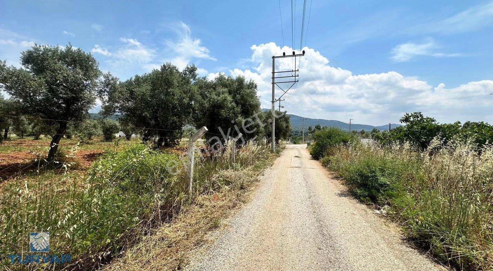 Turyap Tan Dağkızılca Da Yatırımlık Tek Tapu 5 Dönüm Tarla - Görsel 7