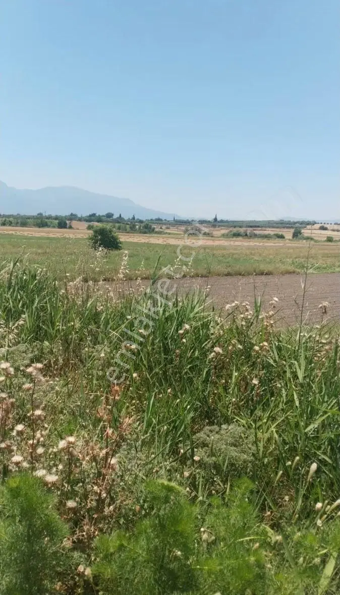 Dede Emlak'tan Satılık Tarla - Görsel 3