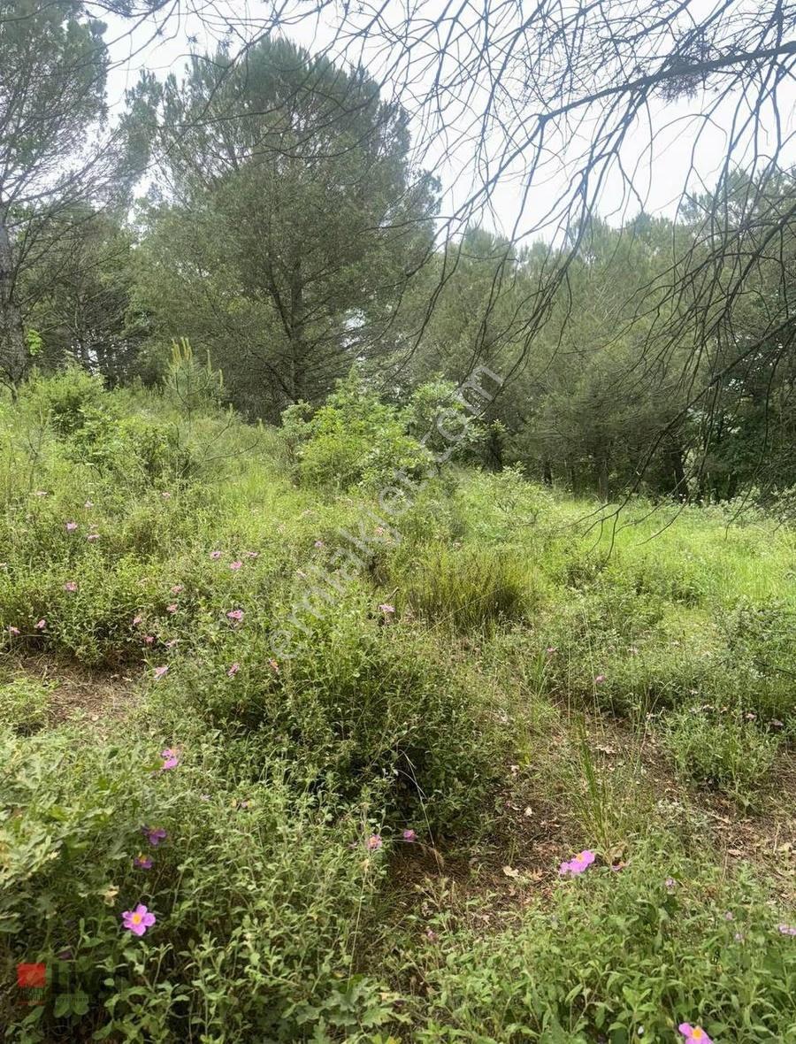 Rw Liva Dan Gökçeyazı (yeni) Mh.'de Efsane Arsa - Görsel 28
