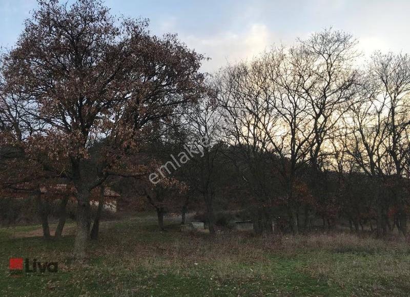 Rw Liva Dan Gökçeyazı (yeni) Mh.'de Efsane Arsa - Görsel 18