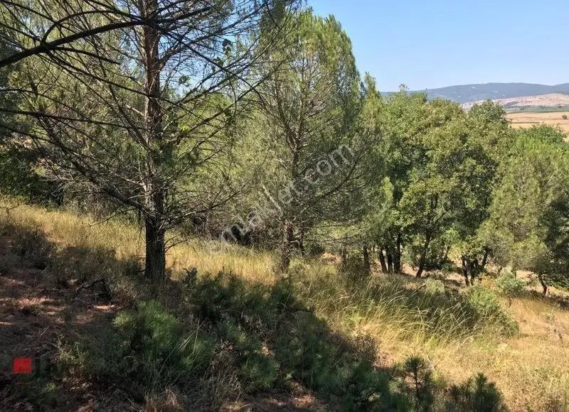 Rw Liva Dan Gökçeyazı (yeni) Mh.'de Efsane Arsa - Görsel 7