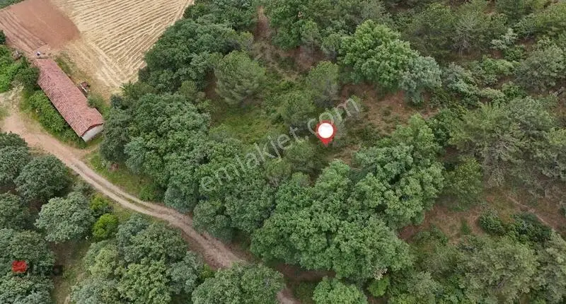 Rw Liva Dan Gökçeyazı (yeni) Mh.'de Efsane Arsa - Görsel 26