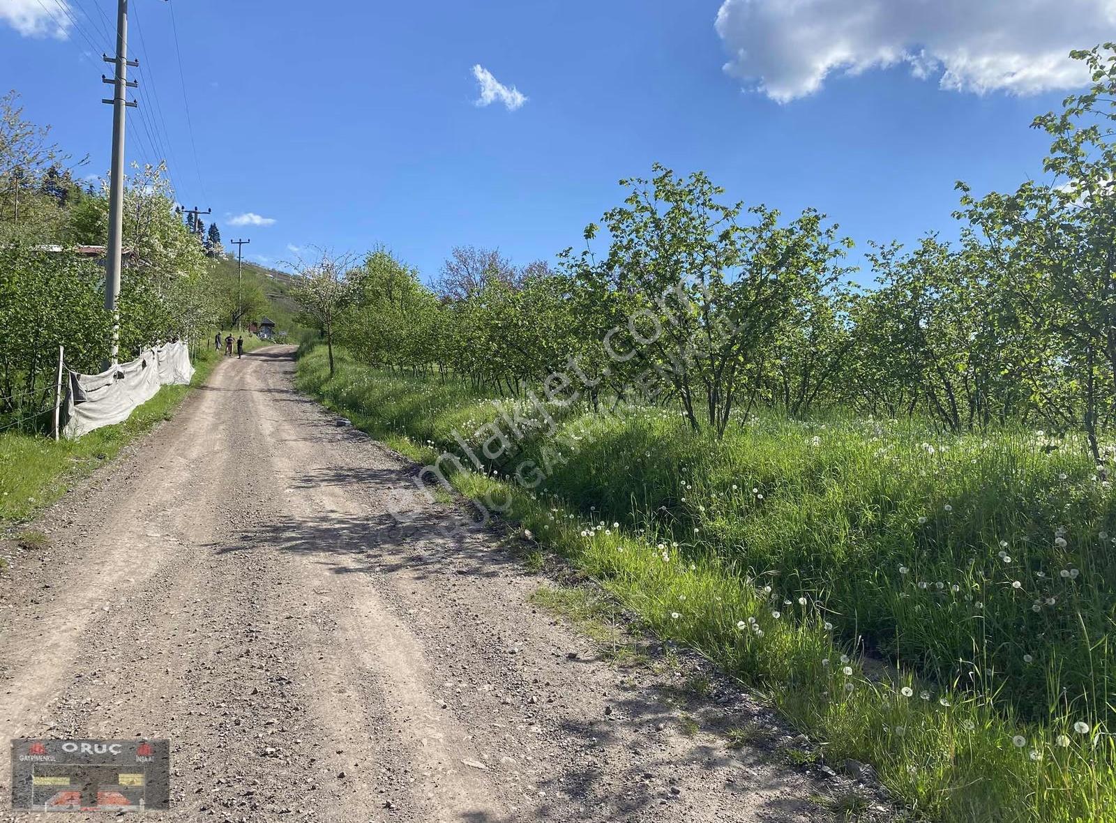 Oruç Gayrimenkulden Kurtuluşta Fırsat!!5540 M2 İmarlı Arsa - Görsel 5