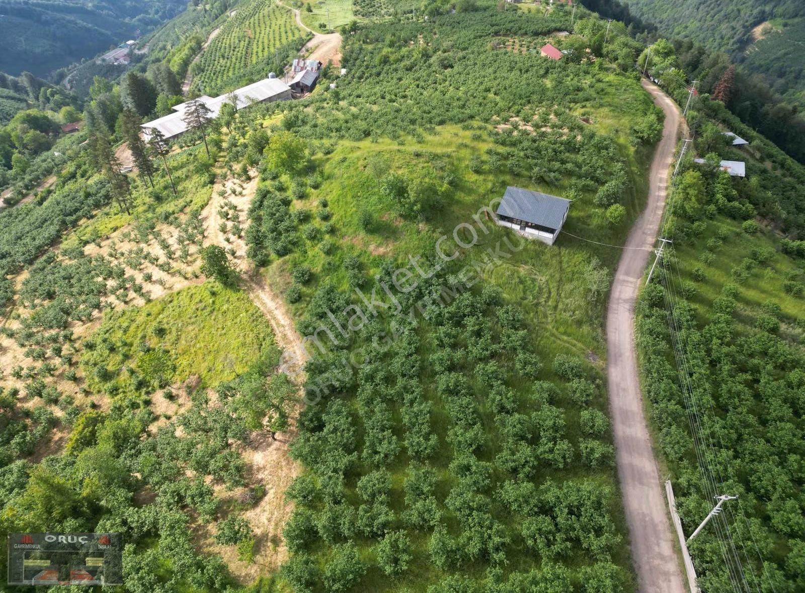 Oruç Gayrimenkulden Kurtuluşta Fırsat!!5540 M2 İmarlı Arsa - Görsel 3