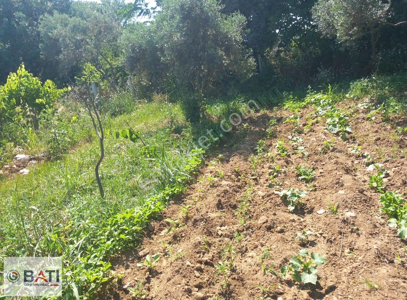 Torbalı Batı Gayrimenkul Den Satılık Hisse Tapulu Tarla - Görsel 5