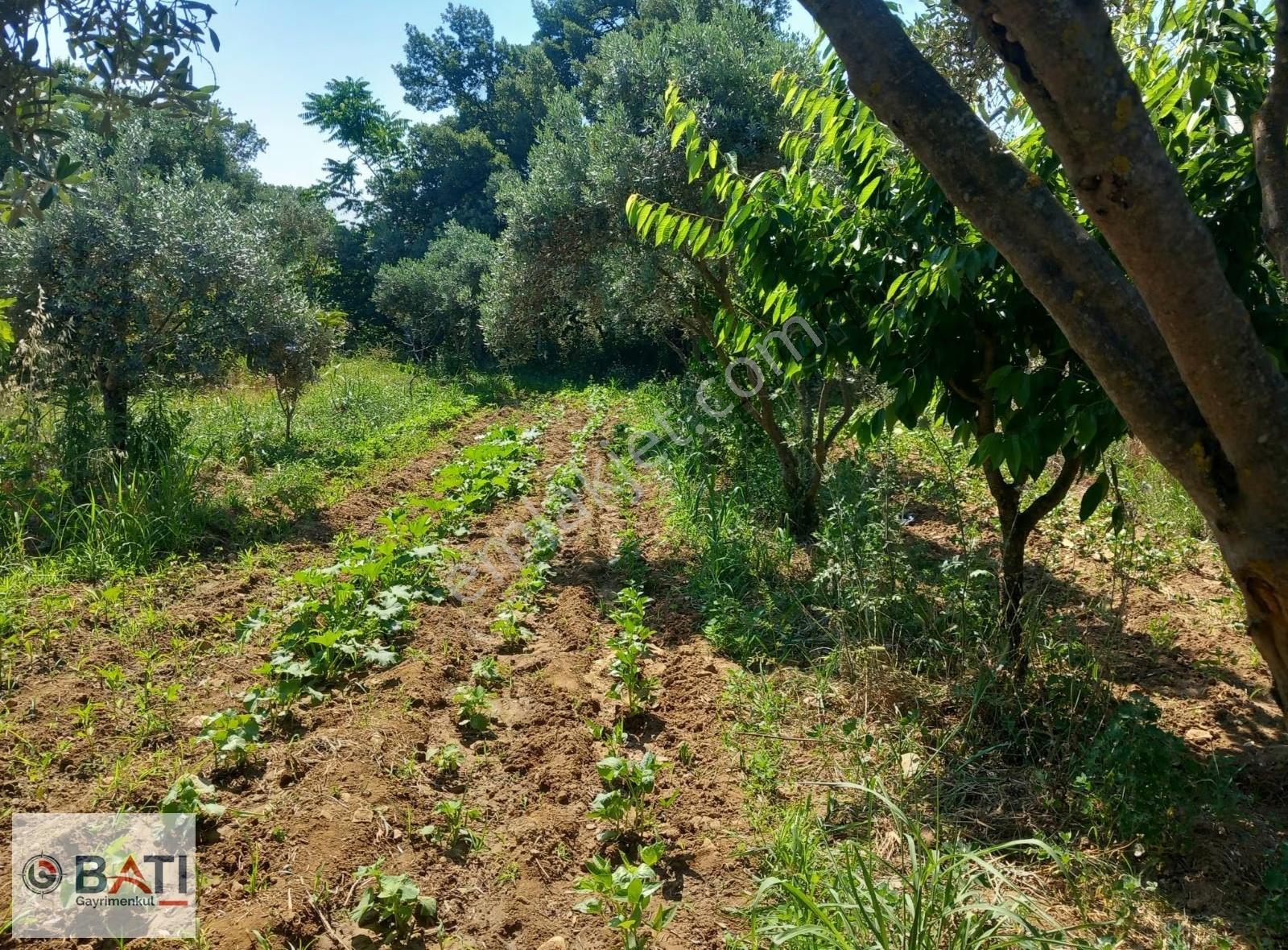 Torbalı Batı Gayrimenkul Den Satılık Hisse Tapulu Tarla - Görsel 14