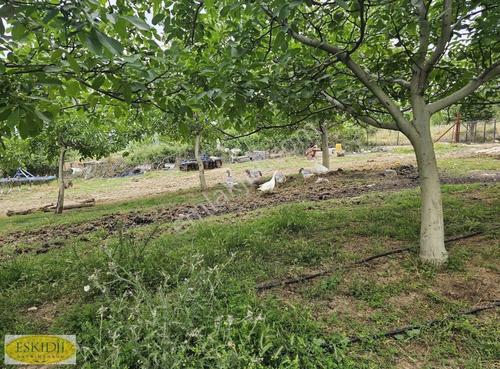 Çanakkale Lapseki İlyasköy Satılık 72.917 M² Verimli Tarla - Görsel 18