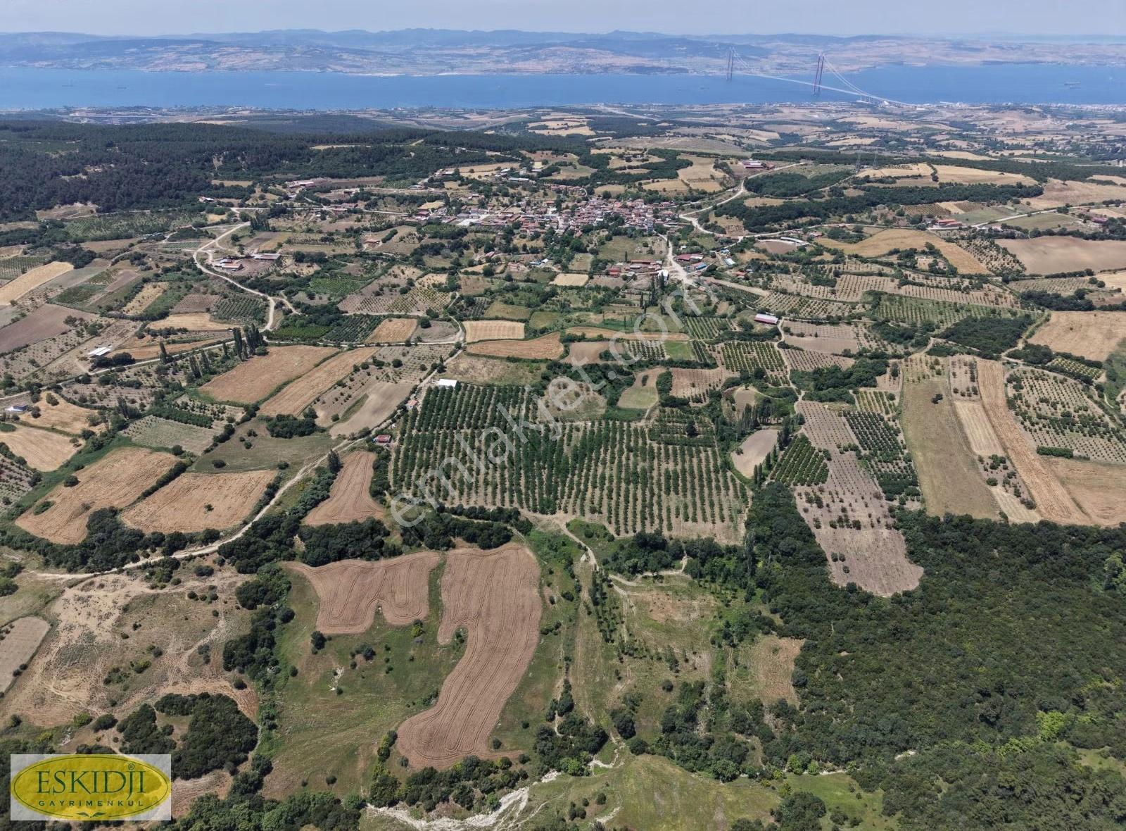 Çanakkale Lapseki İlyasköy Satılık 72.917 M² Verimli Tarla - Görsel 34