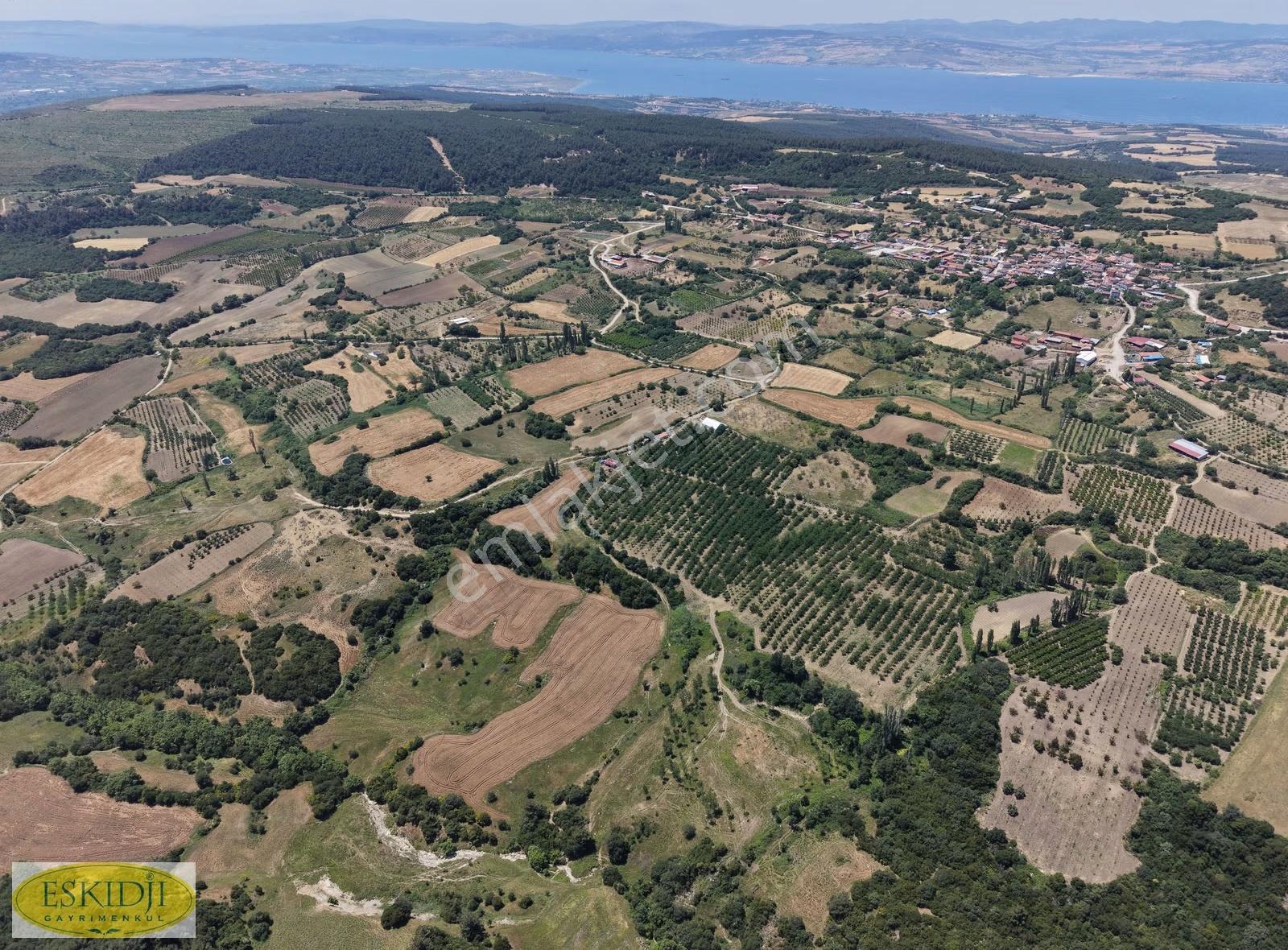 Çanakkale Lapseki İlyasköy Satılık 72.917 M² Verimli Tarla - Görsel 24