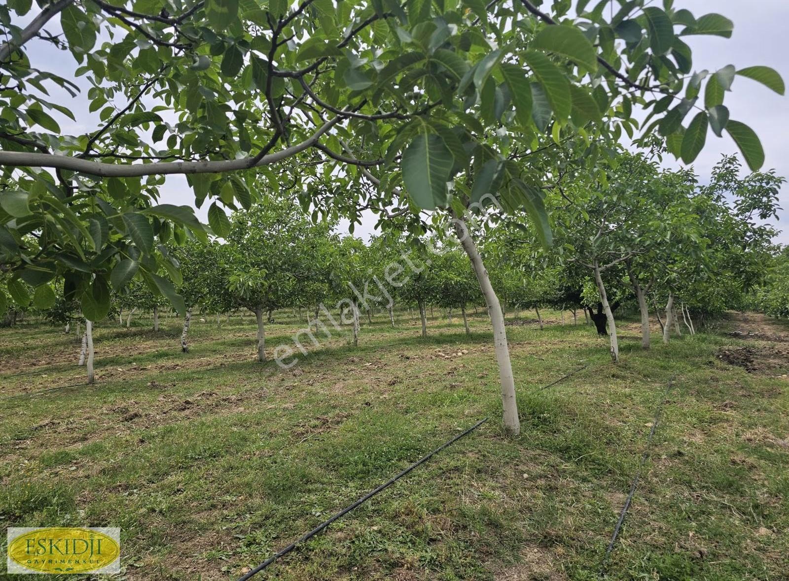 Çanakkale Lapseki İlyasköy Satılık 72.917 M² Verimli Tarla - Görsel 28