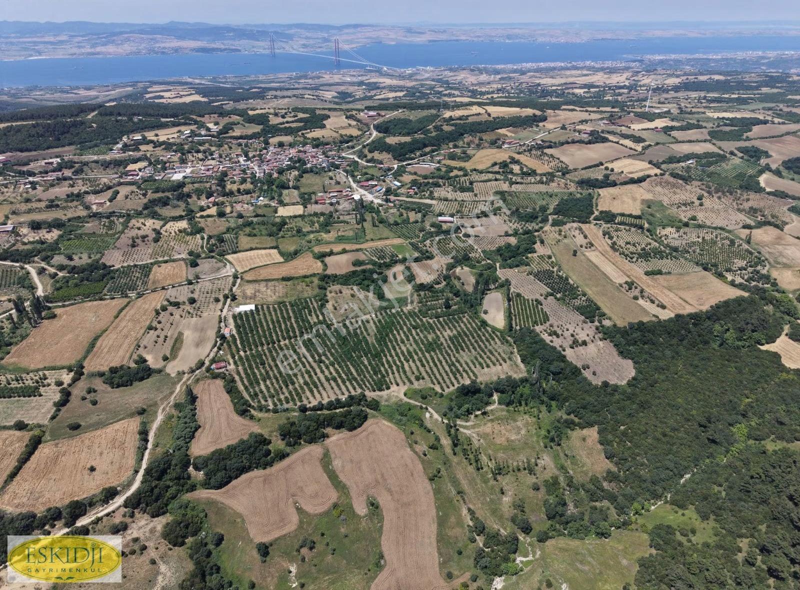 Çanakkale Lapseki İlyasköy Satılık 72.917 M² Verimli Tarla - Görsel 23