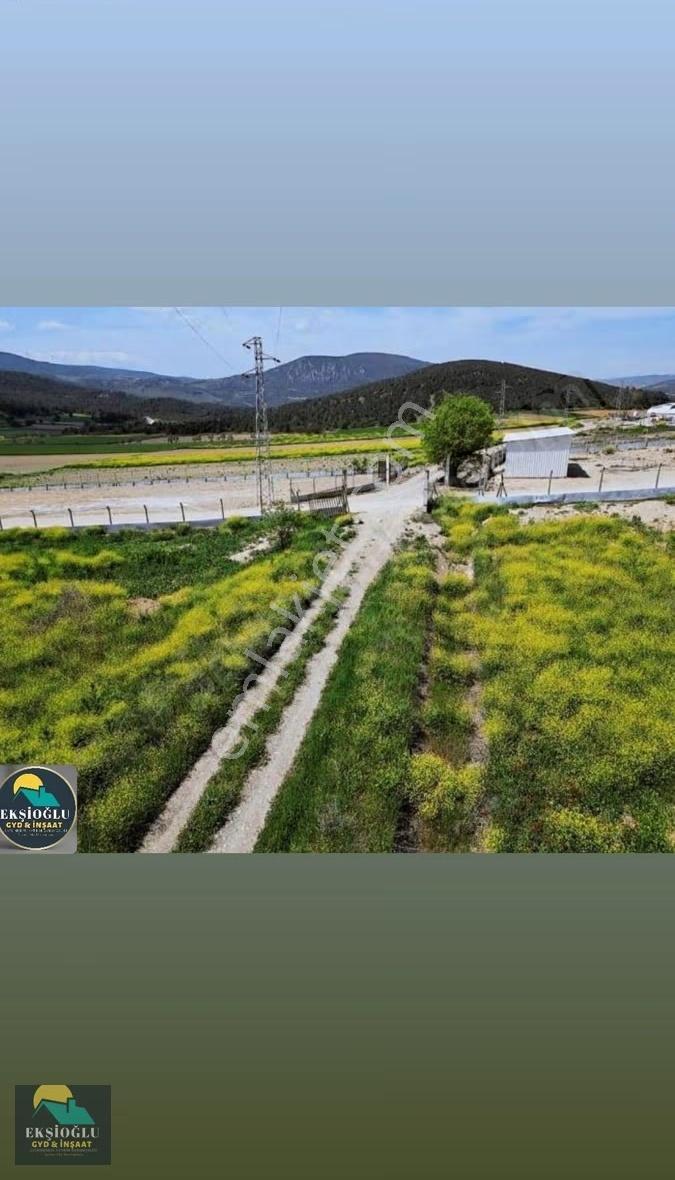 Yatırımlık Fırsat !!! Gölpazarı'nda Resmi Yola 65 M Tarla