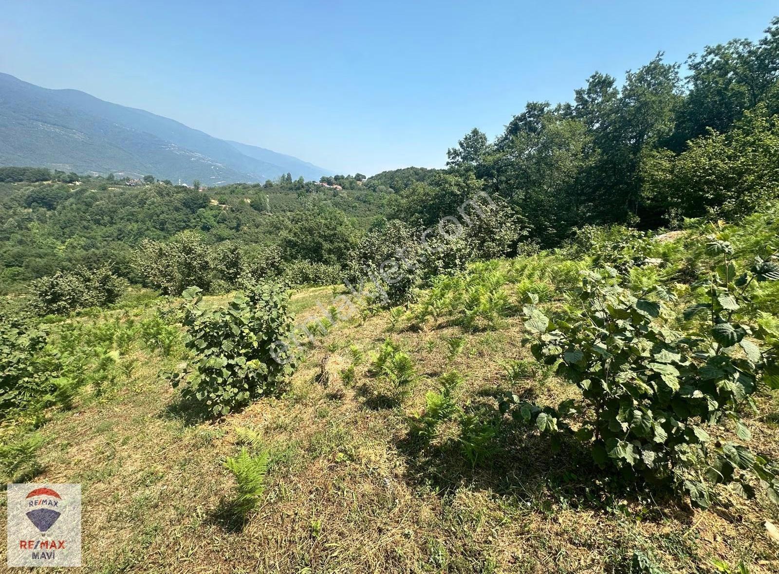 Akyazıda İmarlı Yolu Olan 4884 M2 Satılık Arsa - Görsel 5