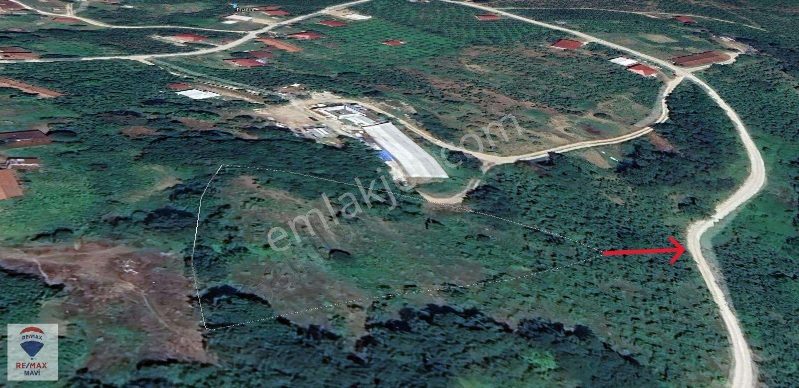 Akyazıda İmarlı Yolu Olan 4884 M2 Satılık Arsa - Görsel 3