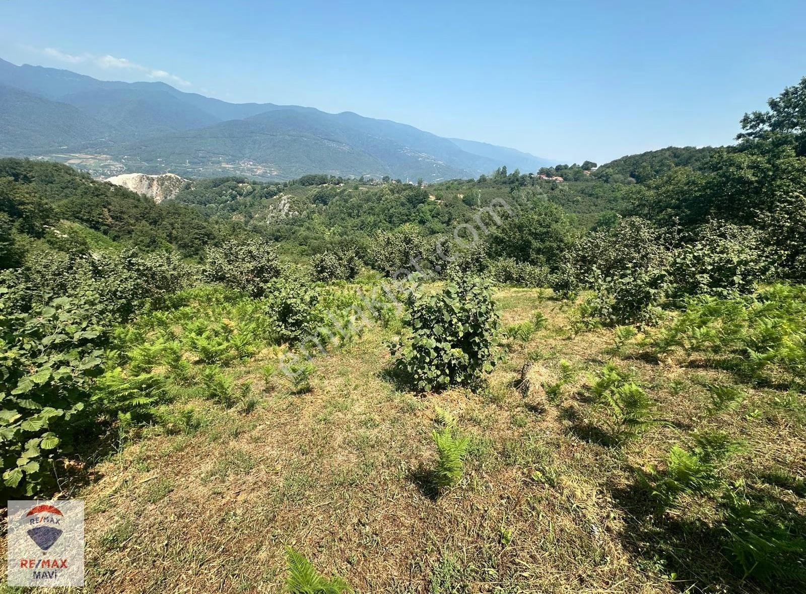 Akyazıda İmarlı Yolu Olan 4884 M2 Satılık Arsa