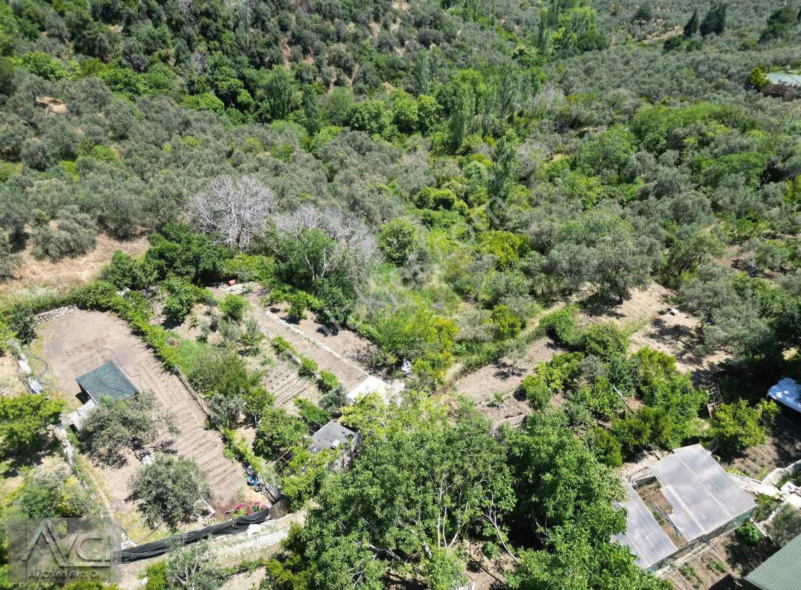 Avcıdan Doyran Yolunda Deniz Manzaralı Hobi Bahçesi - Görsel 9