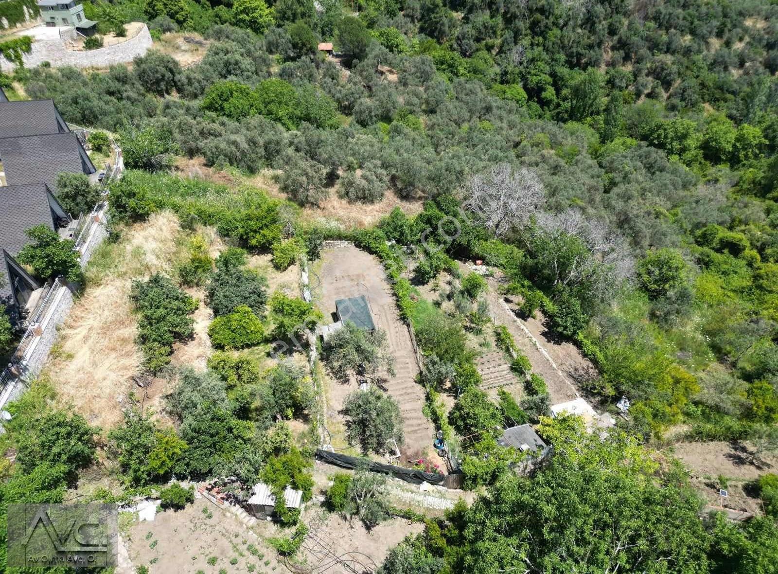 Avcıdan Doyran Yolunda Deniz Manzaralı Hobi Bahçesi - Görsel 12