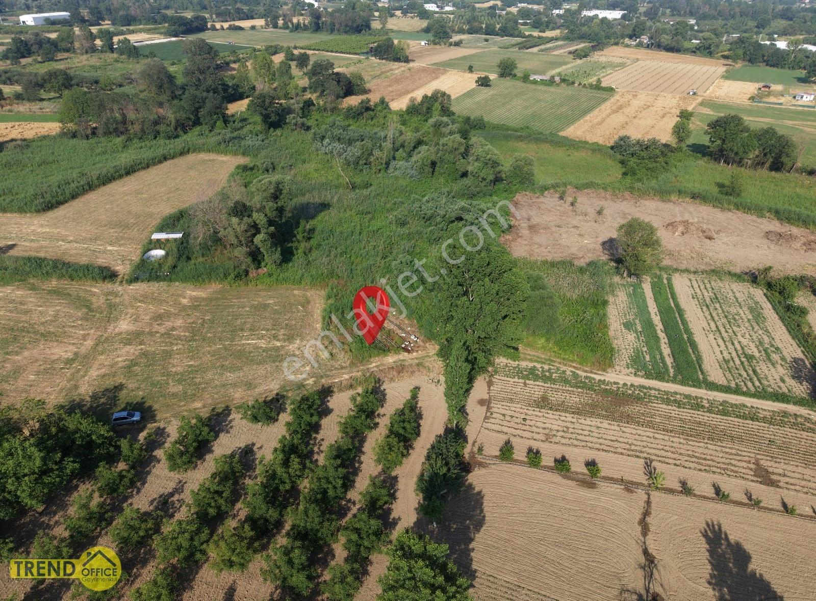Nilüfer Yaylacık Mahallesi 841 M2 Satılık Tarla - Görsel 5
