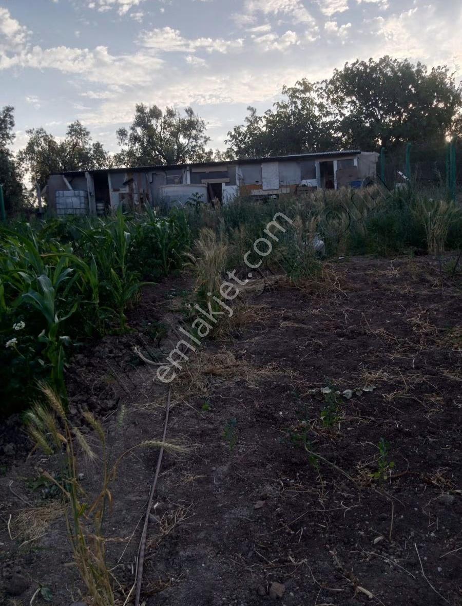Bursa Emlak Alemi Yeniköy'de 1282m2 Yola Cepheli Hobi Bahçesi - Görsel 9