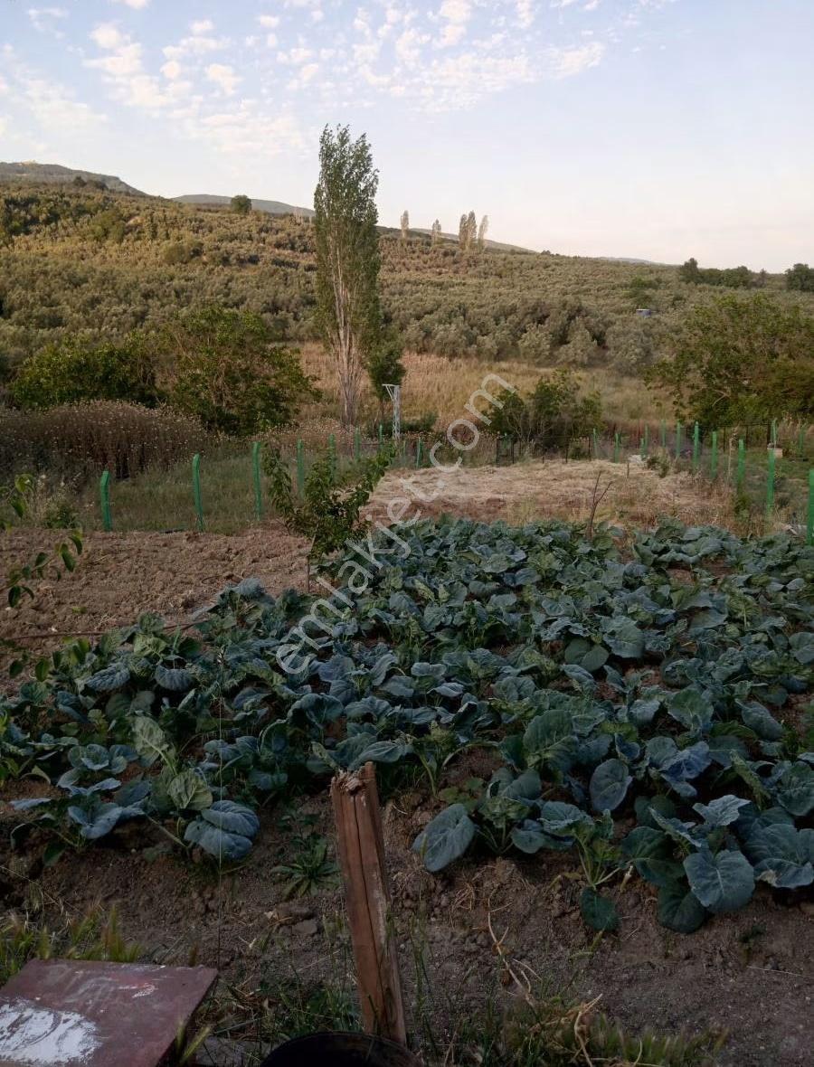Bursa Emlak Alemi Yeniköy'de 1282m2 Yola Cepheli Hobi Bahçesi - Görsel 4