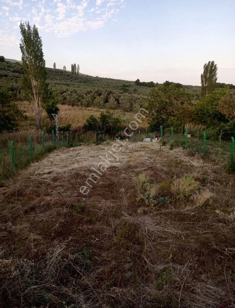 Bursa Emlak Alemi Yeniköy'de 1282m2 Yola Cepheli Hobi Bahçesi - Görsel 12