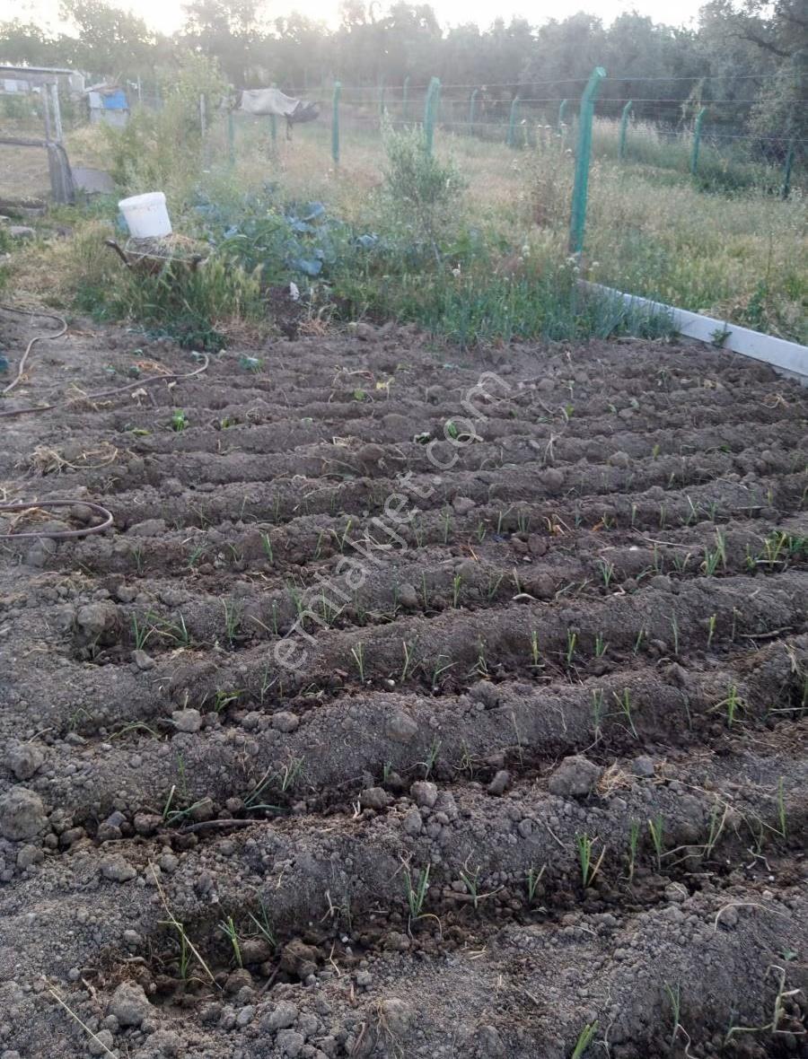 Bursa Emlak Alemi Yeniköy'de 1282m2 Yola Cepheli Hobi Bahçesi - Görsel 3