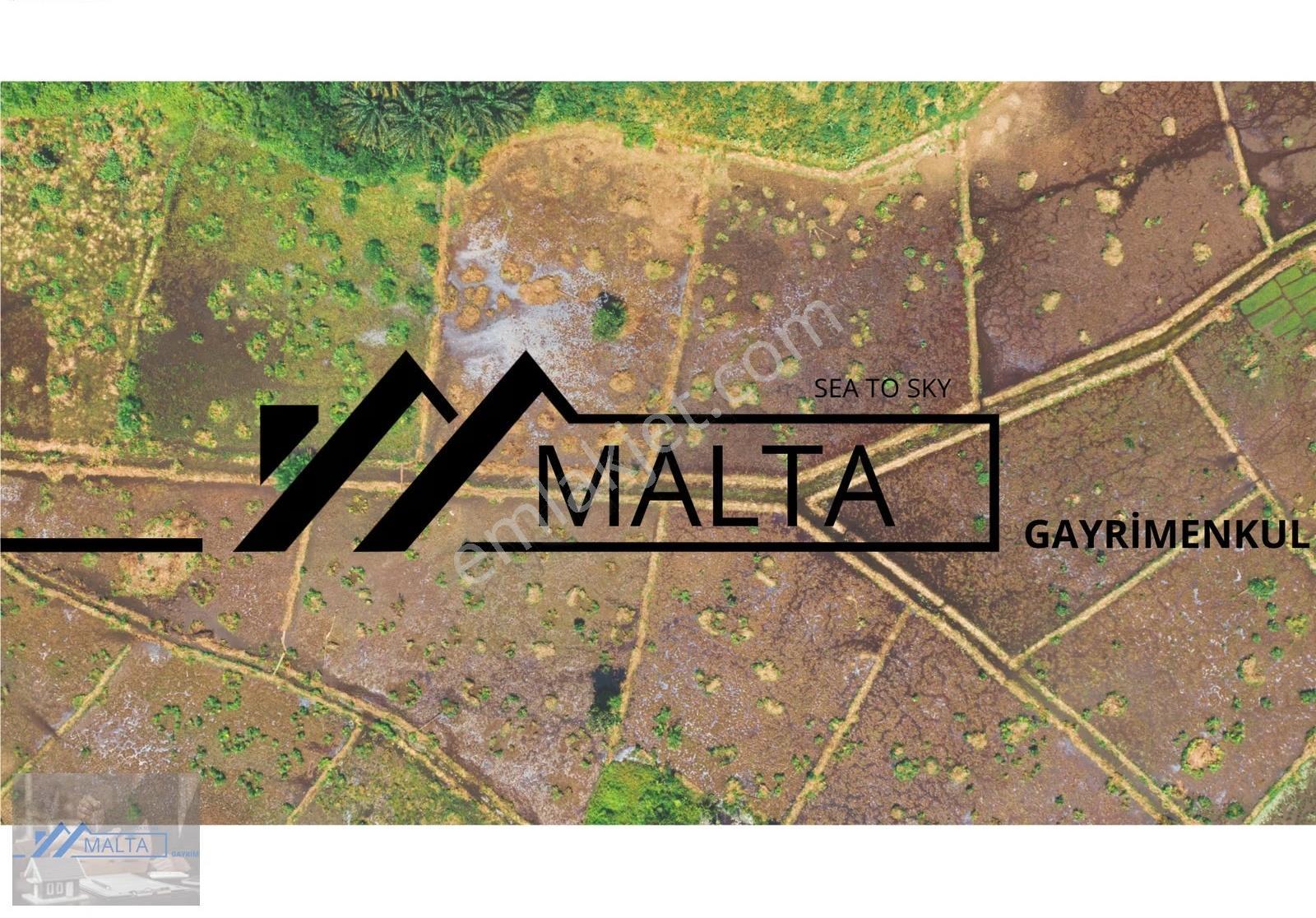 Malta'dan Edincik'te 8.654 M2 Fırsat Zeytinlik - Görsel 2