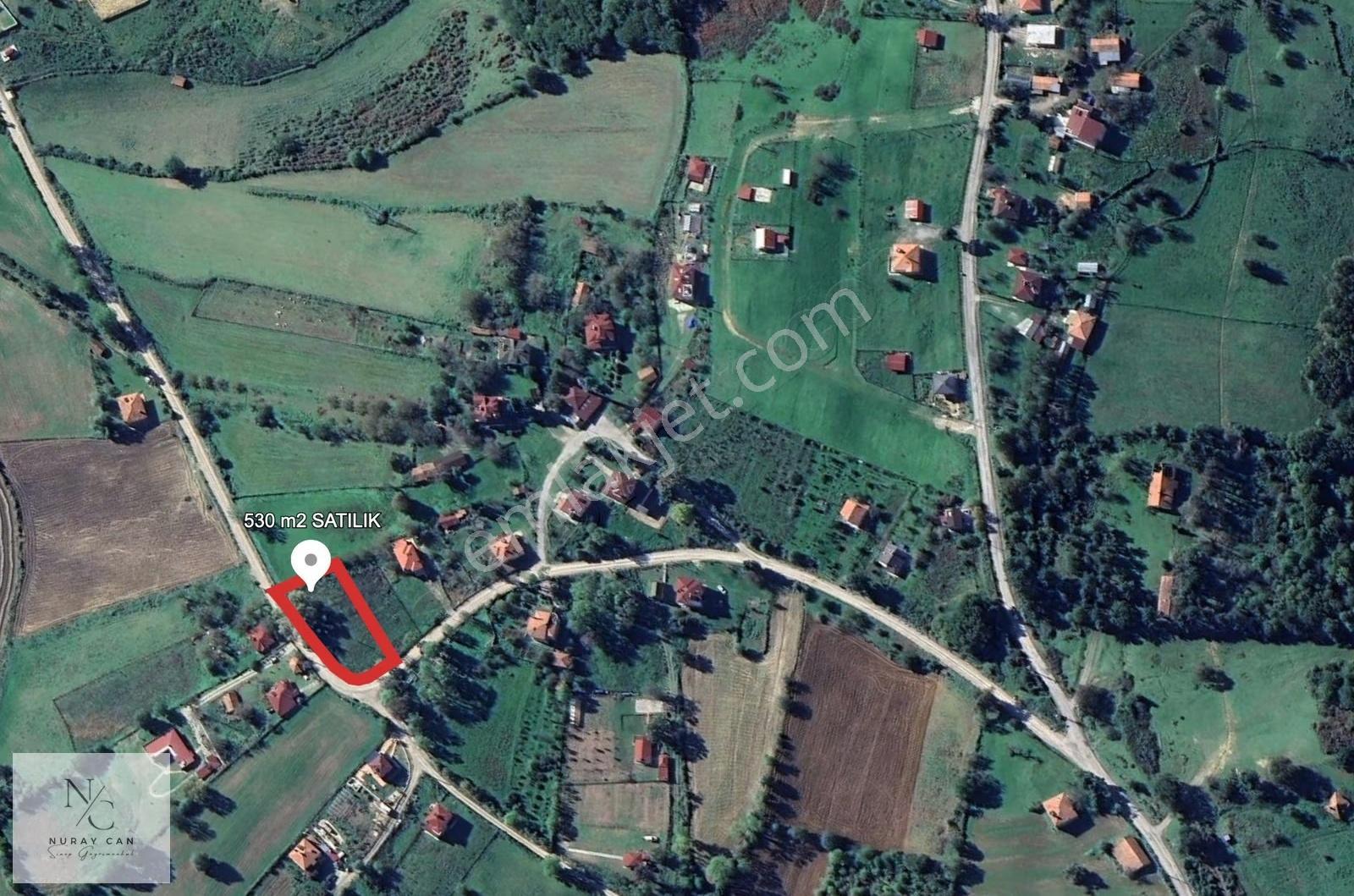 Sinop Merkeze Yakın! Dibekli'de Ev Yapmaya Uygun 530 M² Tarla - Görsel 3