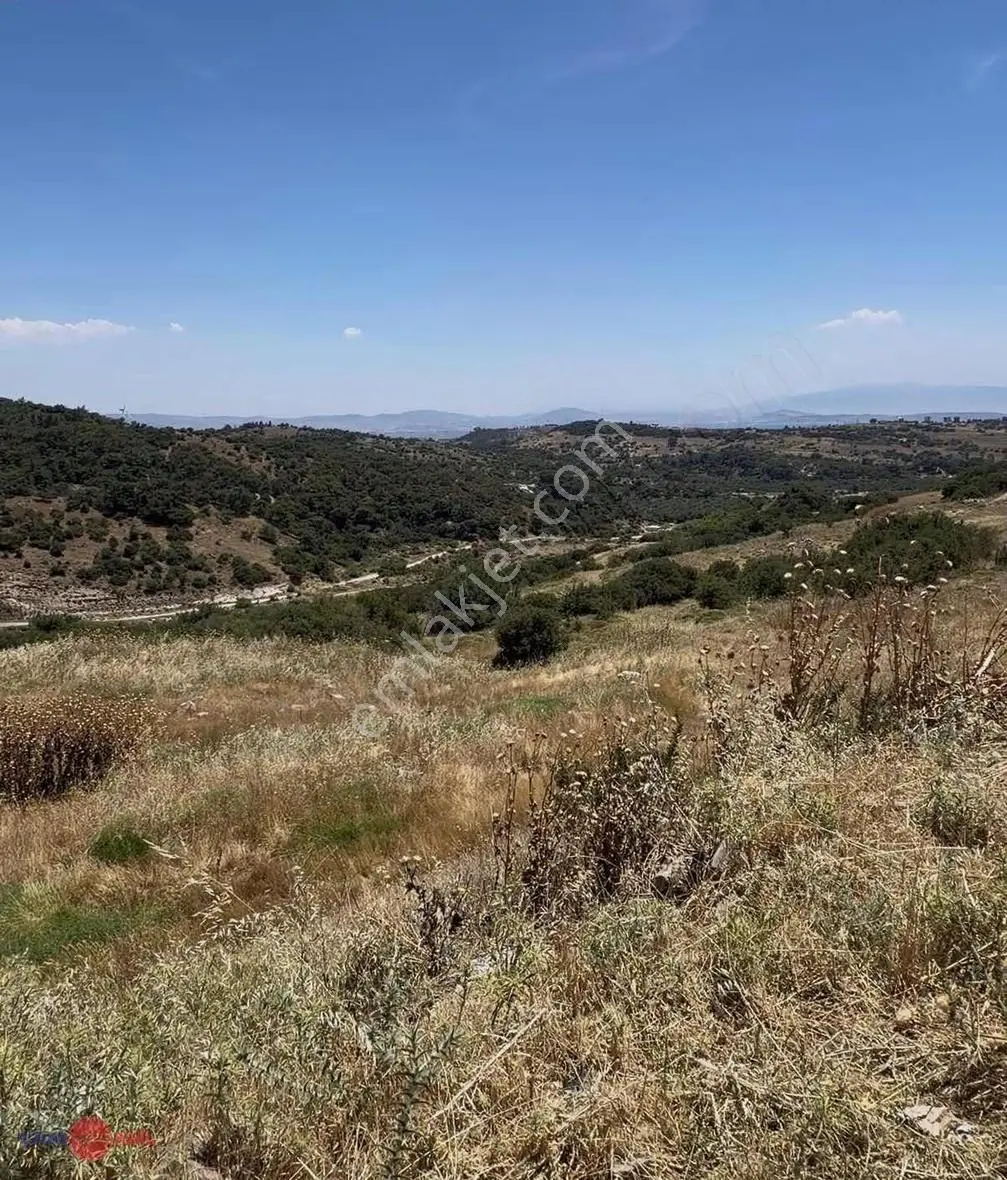 Dikili Yaylayurt Ta 250 M2 Satılık Arsa - Görsel 4